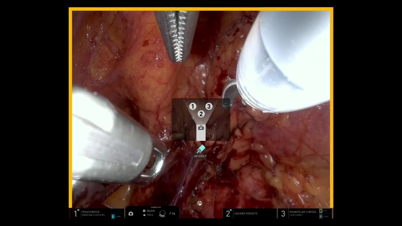 （ES）4641：堤論文_動画2